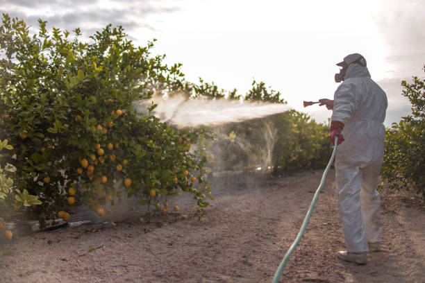 Best Bed Bug Extermination  in Graceville, FL