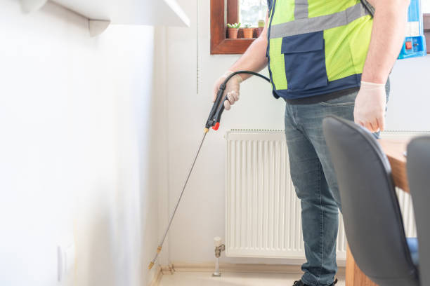 Best Local Pest Control Services  in Graceville, FL