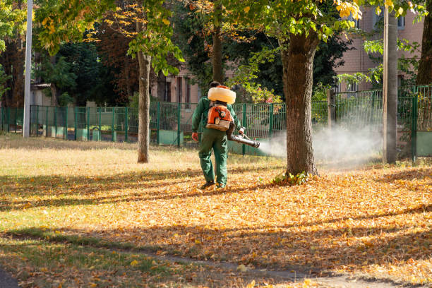 Best Wildlife Control Services  in Graceville, FL