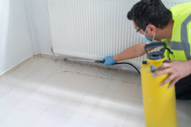 Best Local Pest Control Services  in Graceville, FL